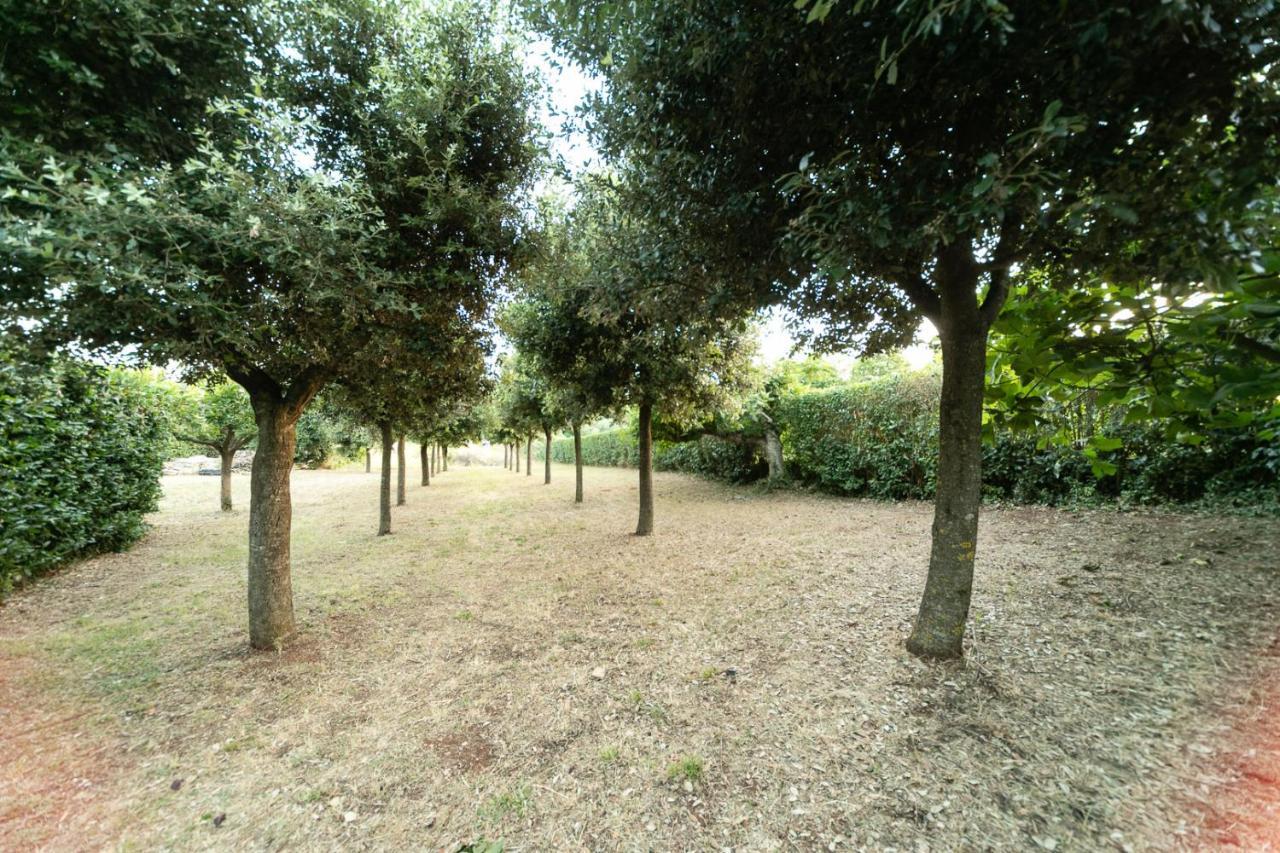 Dimora Beatrice Villa Martina Franca Exterior photo